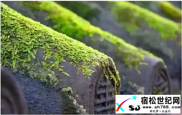 QQ截图20180529005615.png