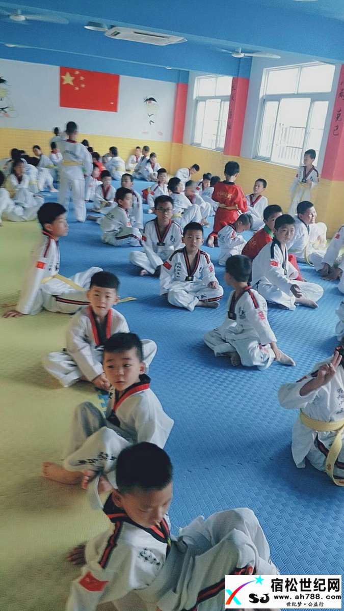 5.jpg