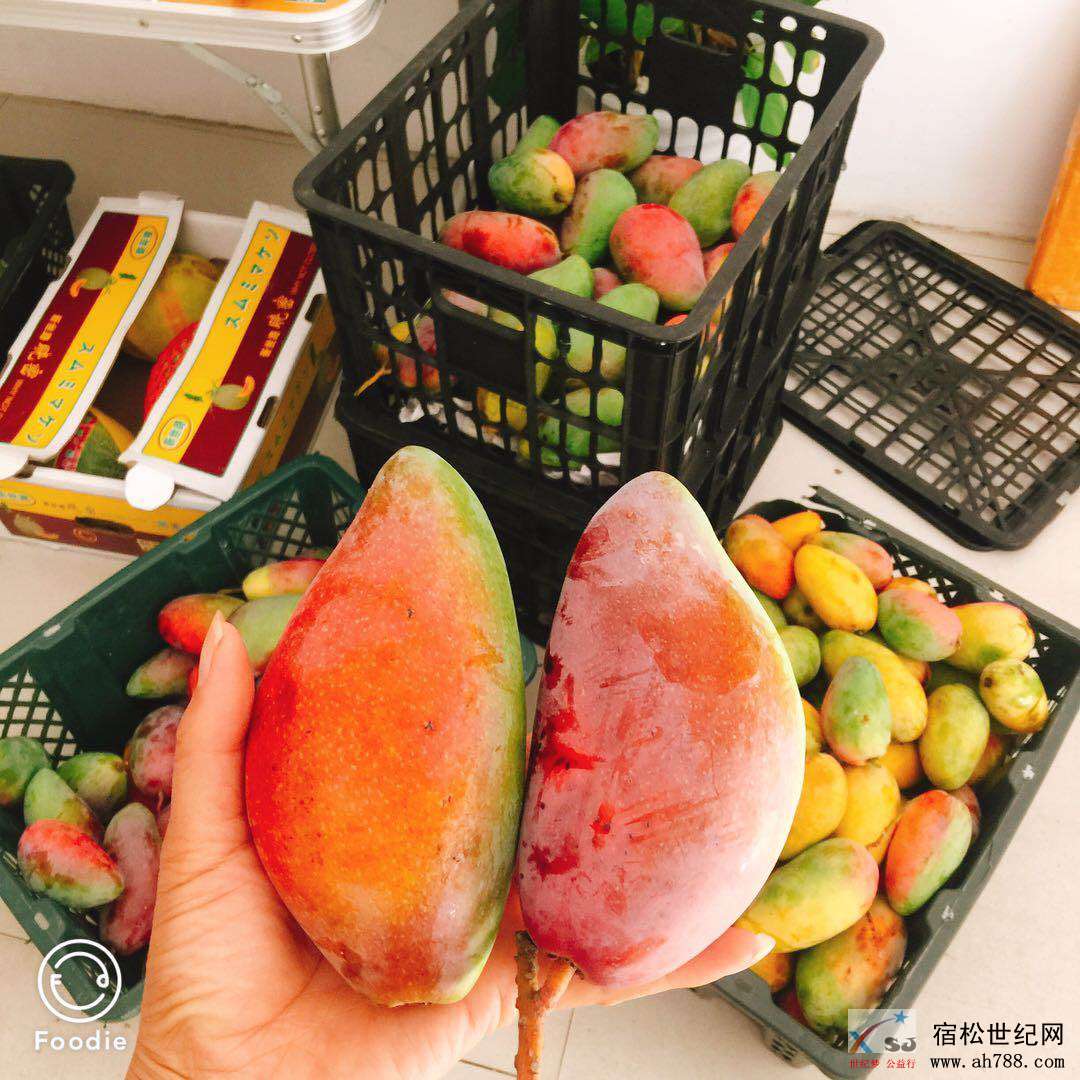微信图片_20180610150634.jpg