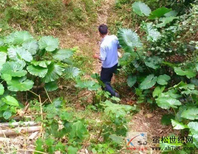 微信图片_20180611103054.jpg