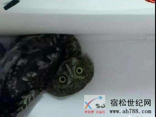 微信图片_20180616082809.jpg