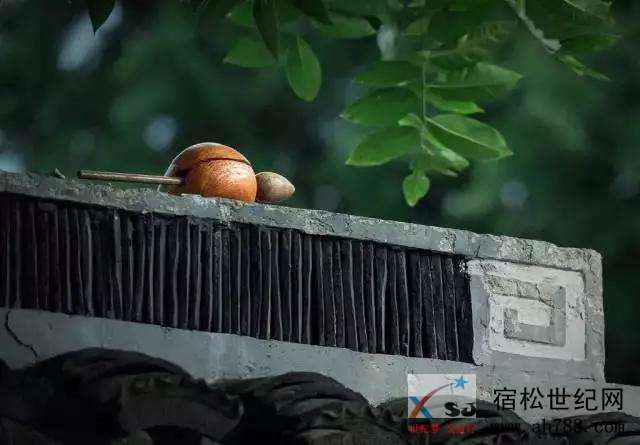 微信图片_20180617222930.jpg