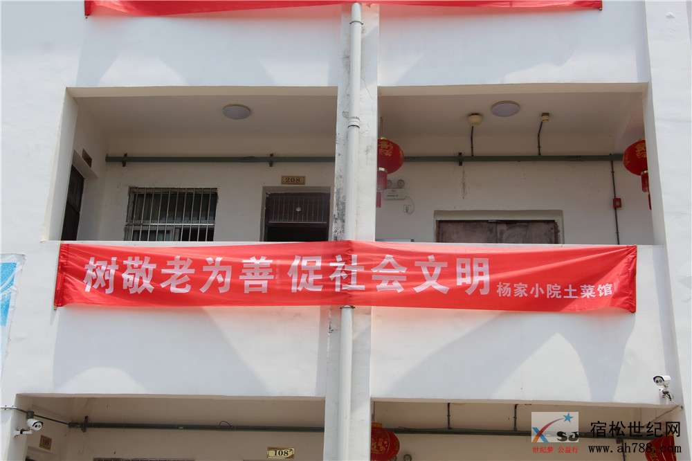 杨家小院02.jpg