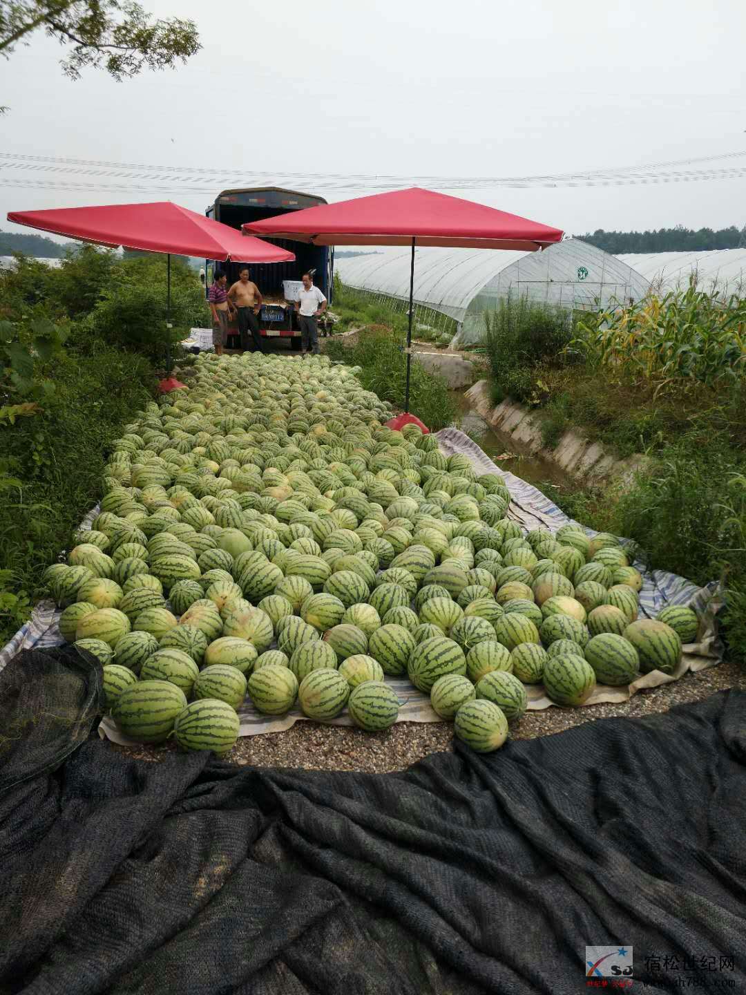 微信图片_20180705103554.jpg