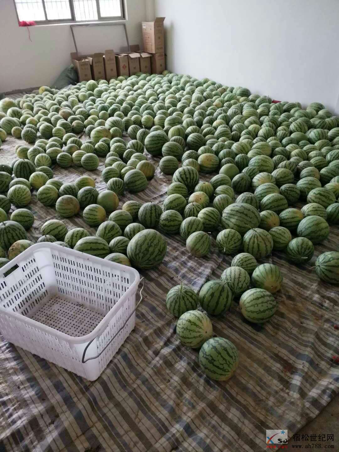 微信图片_20180705103601.jpg
