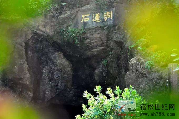 微信图片_20180709170652.jpg