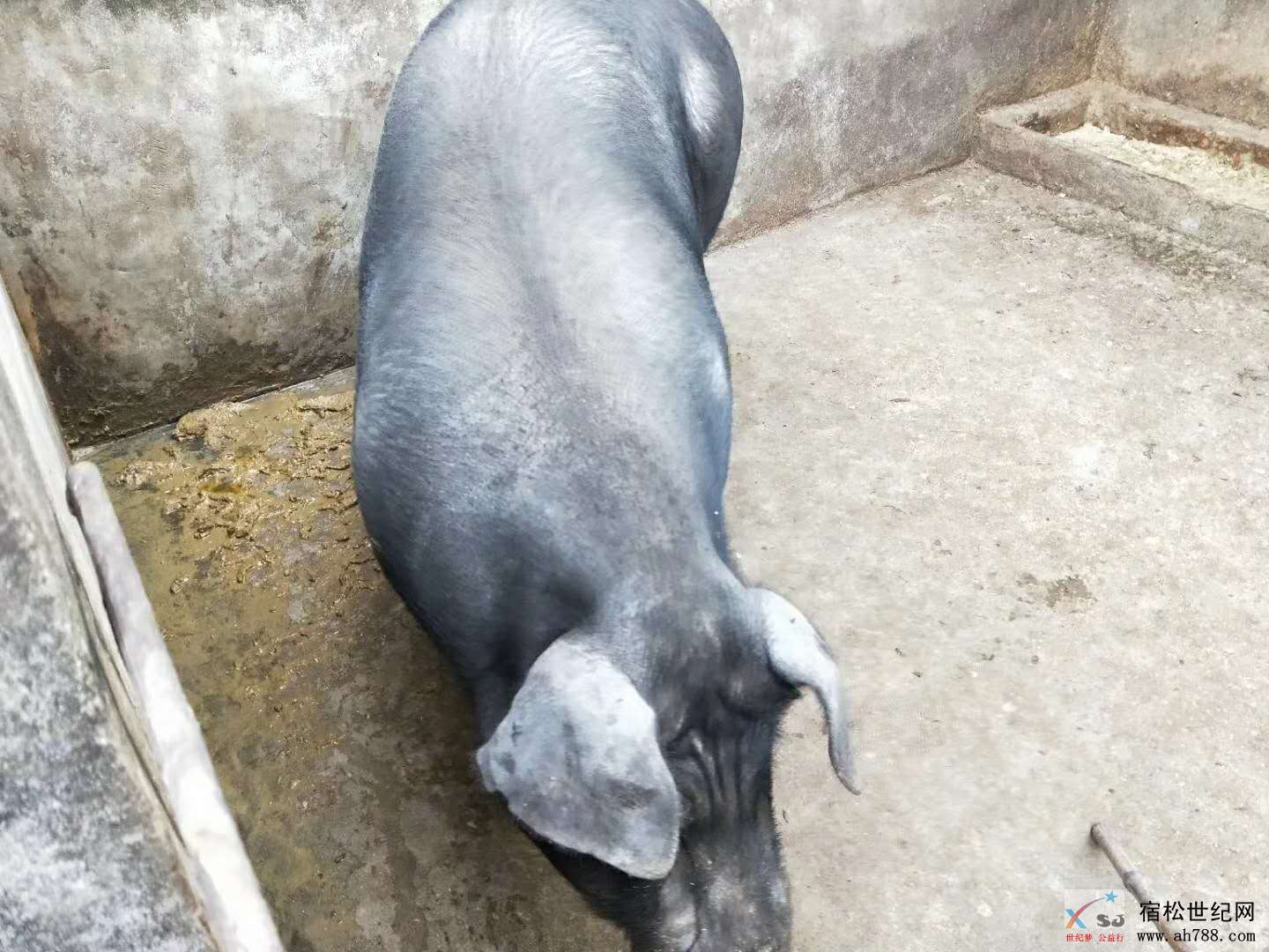 微信图片_20180721105418.jpg
