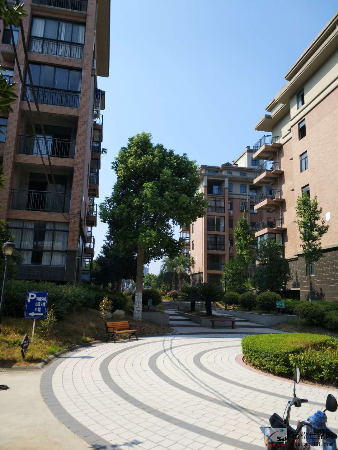 微信图片_20180808130634.jpg