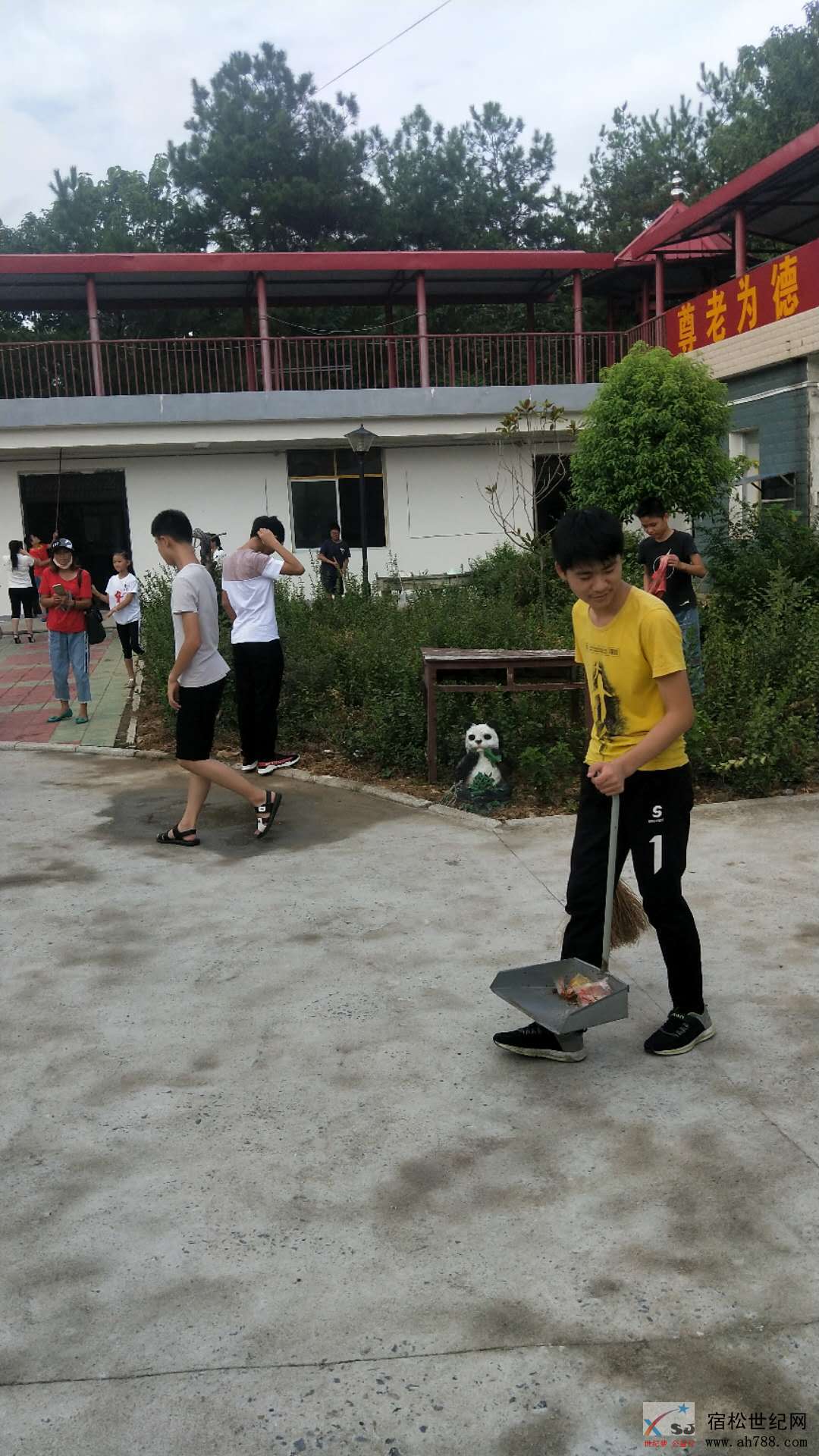 D.jpg