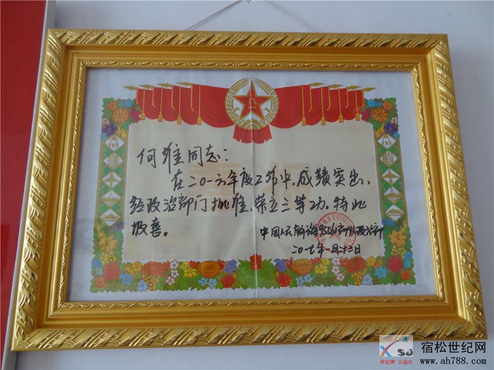 DSC08863.jpg