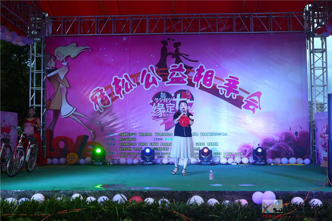 缘定七夕宿松公益相亲会，宿松世纪网27.jpg