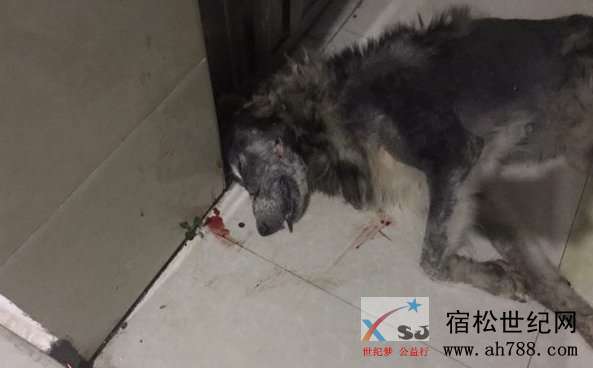 微信图片_20180821151534.jpg
