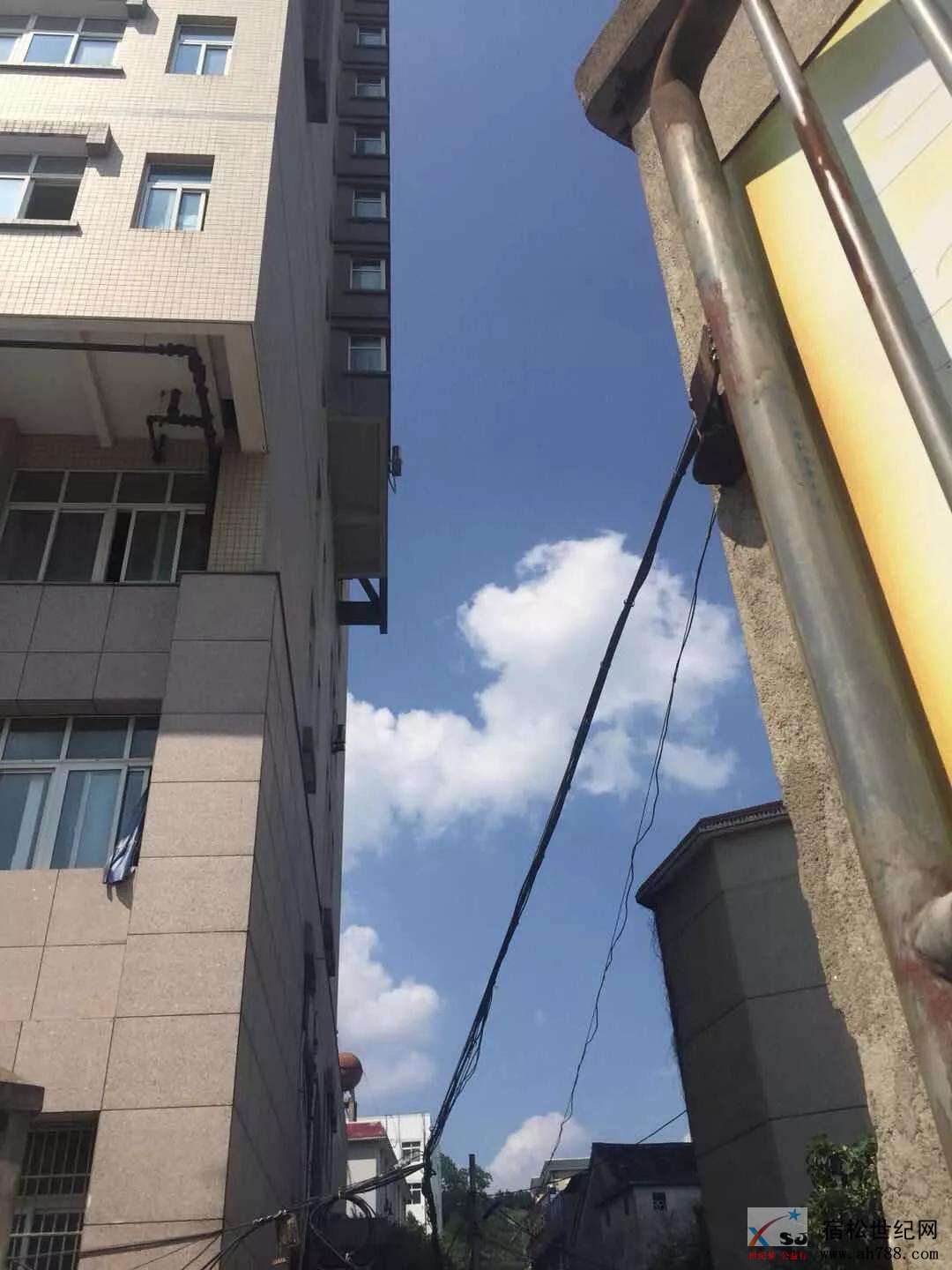 444.jpg
