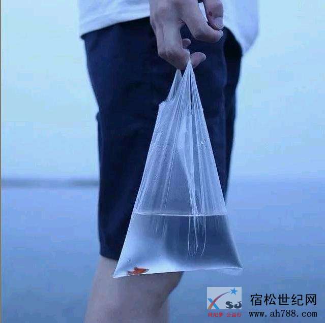 mmexport1534999681716.jpeg