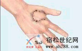 mmexport1535210079400.jpeg