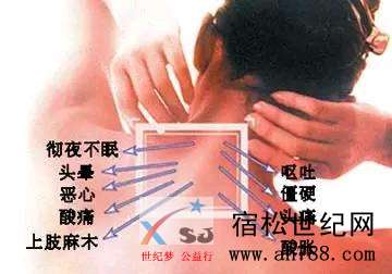 mmexport1535264535453.jpeg