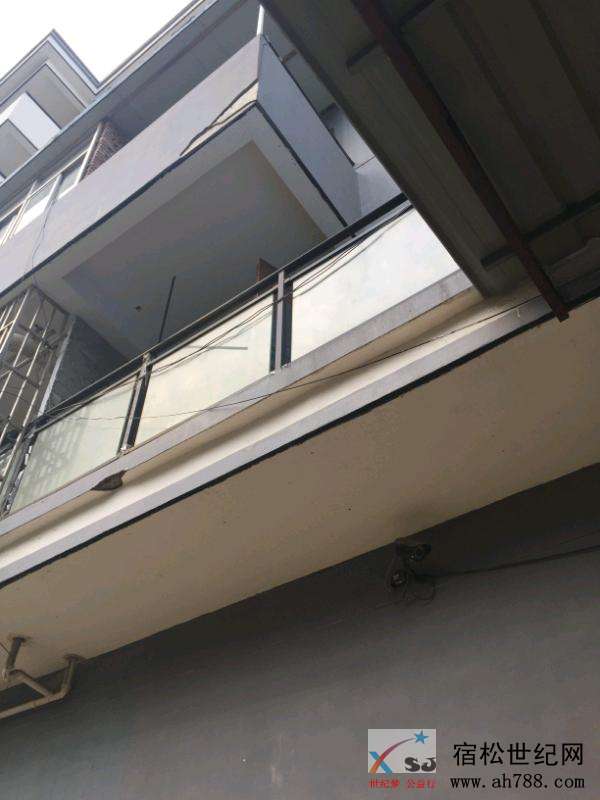 IMG_3731.jpeg