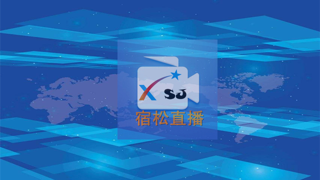 陈东旭大VDVD傻子v.jpg