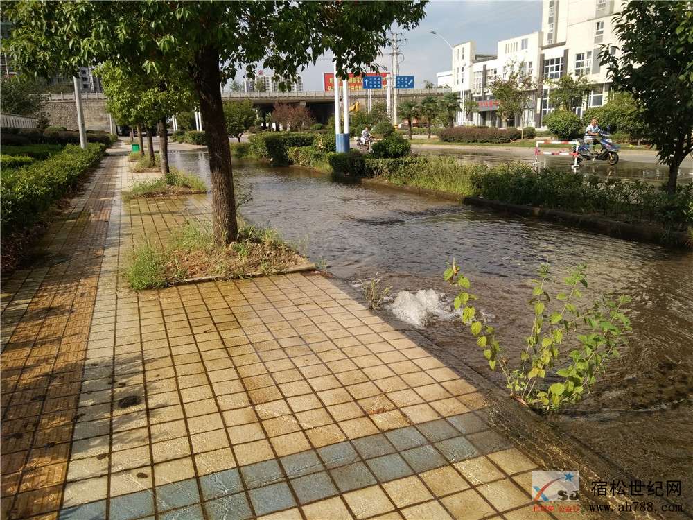 微信图片_20180831162818.jpg