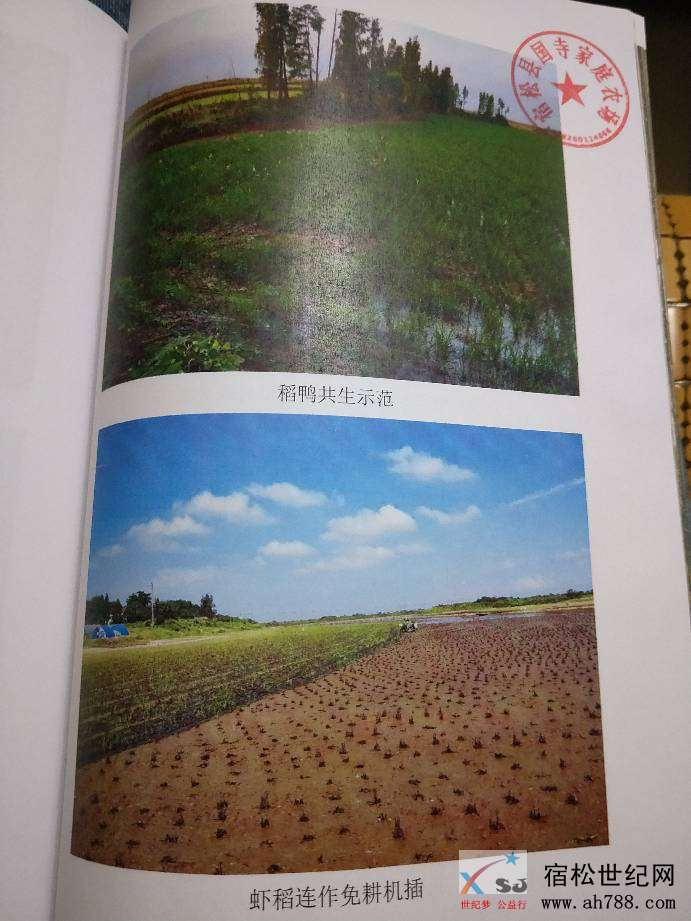 214000g1nth9t9pb94f9b9.jpg