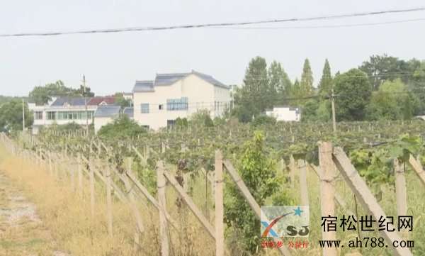 微信图片_20180912110117.jpg