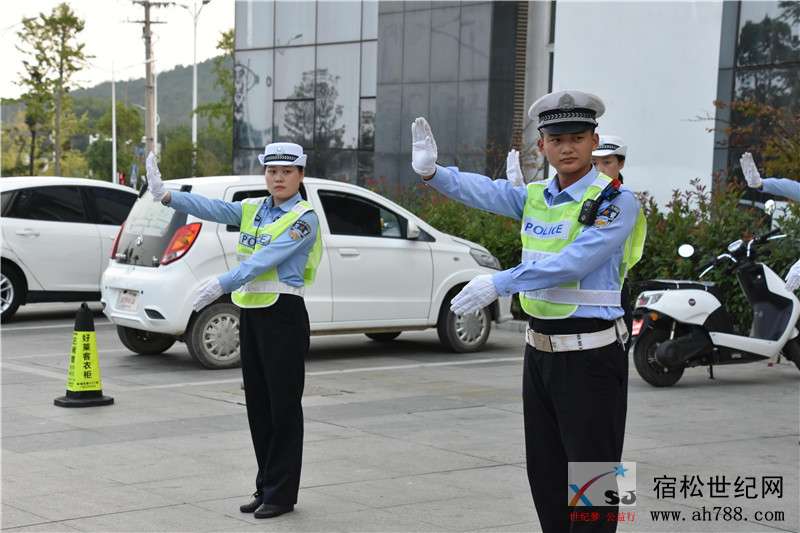DSC_6769_爱奇艺.jpg