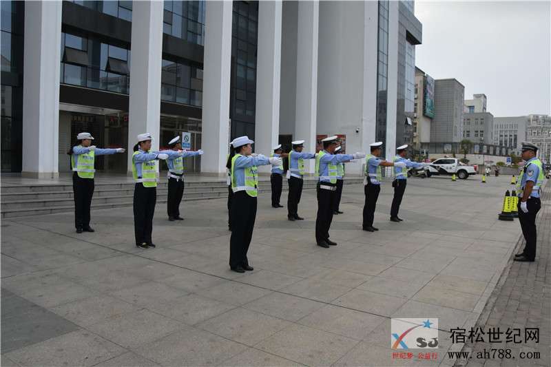 DSC_6781_爱奇艺.jpg
