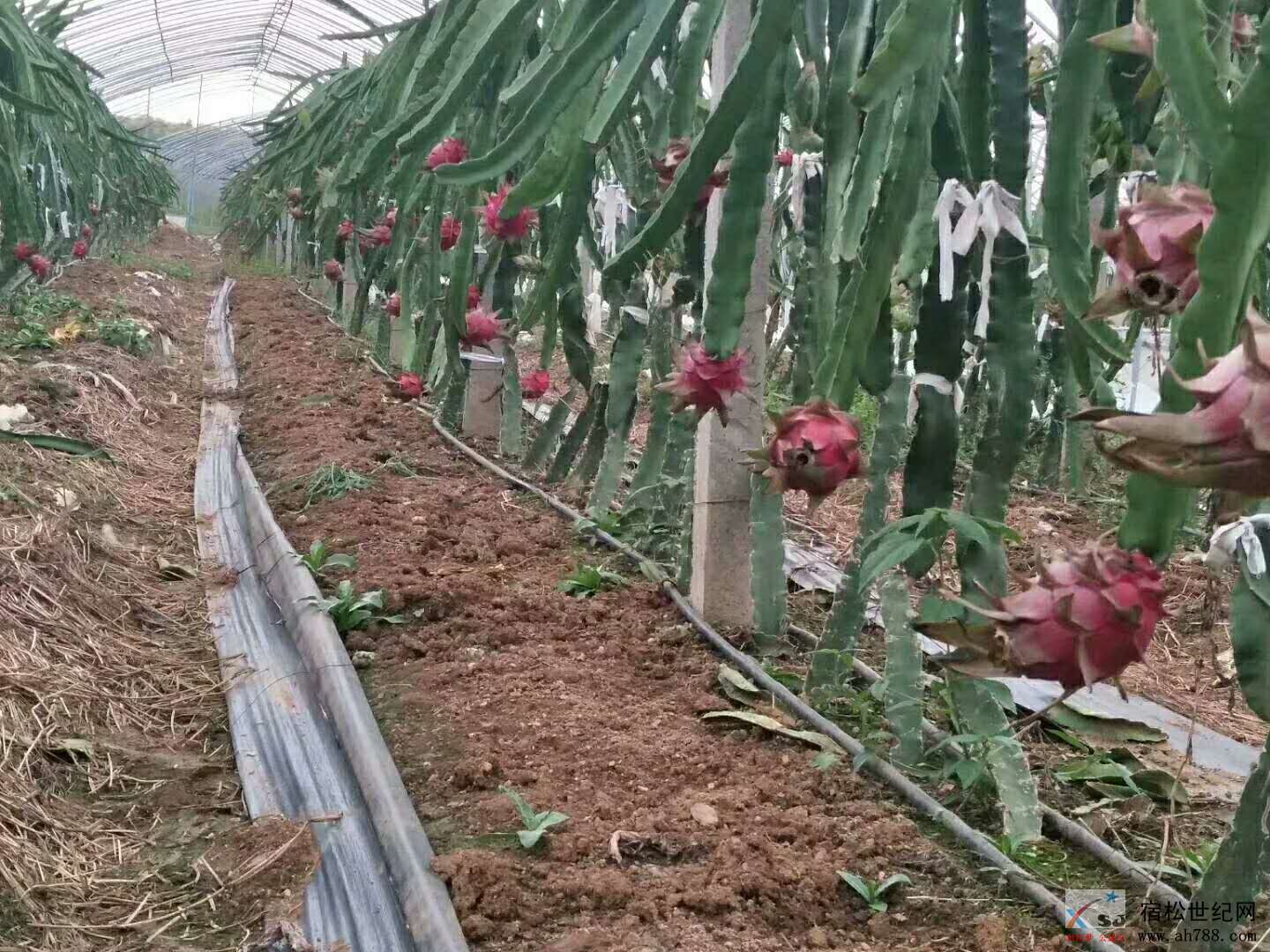 微信图片_20180919114302.jpg