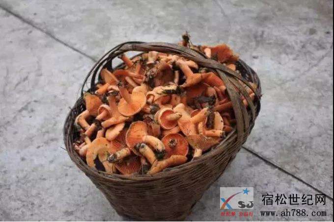 微信图片_20180919215258.jpg