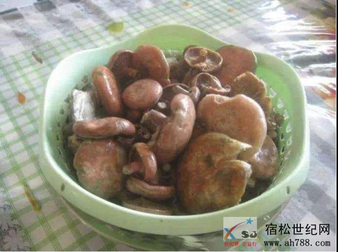 微信图片_20180919215320.jpg
