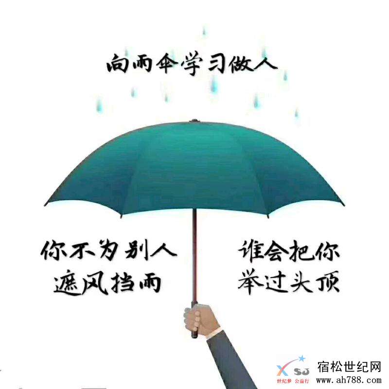mmexport1535899084992.jpeg