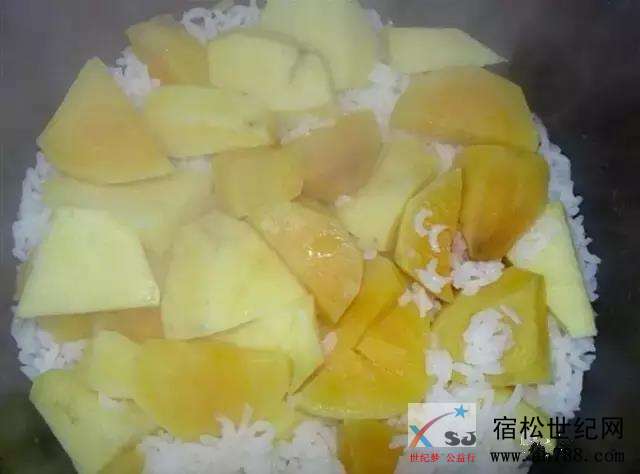 微信图片_20180925152615.jpg