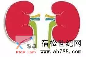 2.webp (6).jpg