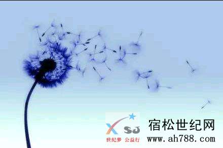mmexport1538828937651.jpeg