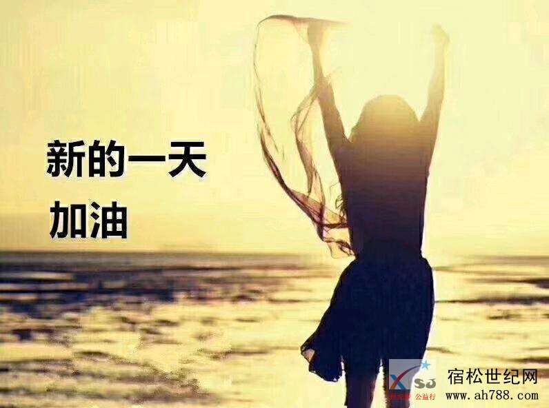 mmexport1538863251527.jpeg