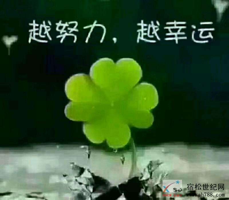 mmexport1538949131902.jpeg