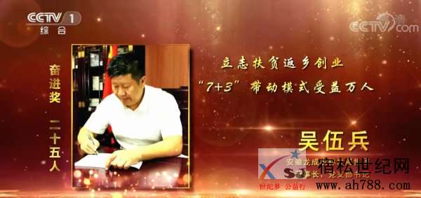 宿松龙成集团董事长吴伍兵荣获“全国脱贫攻坚奋进奖，宿松世纪网 (1).jpg