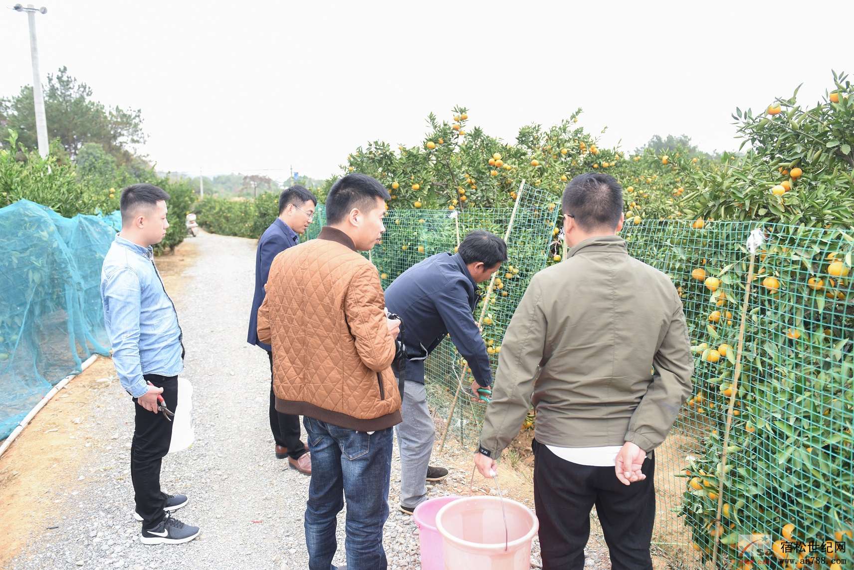 微信图片_20181020133704.jpg
