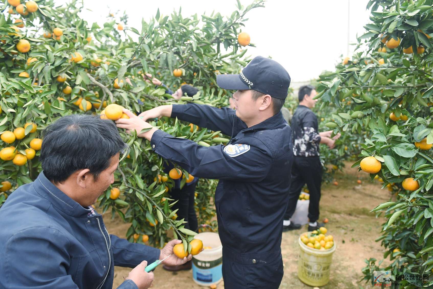 微信图片_20181020133747.jpg