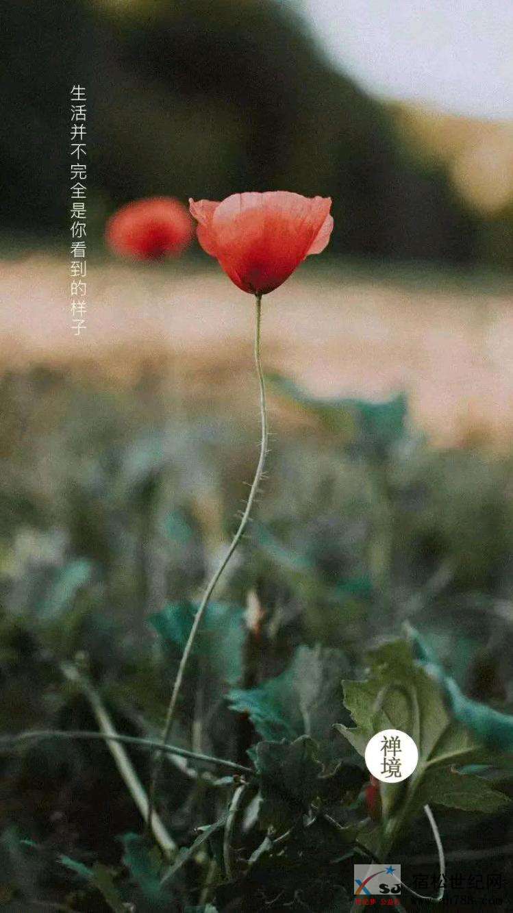 mmexport1540161891507.jpeg