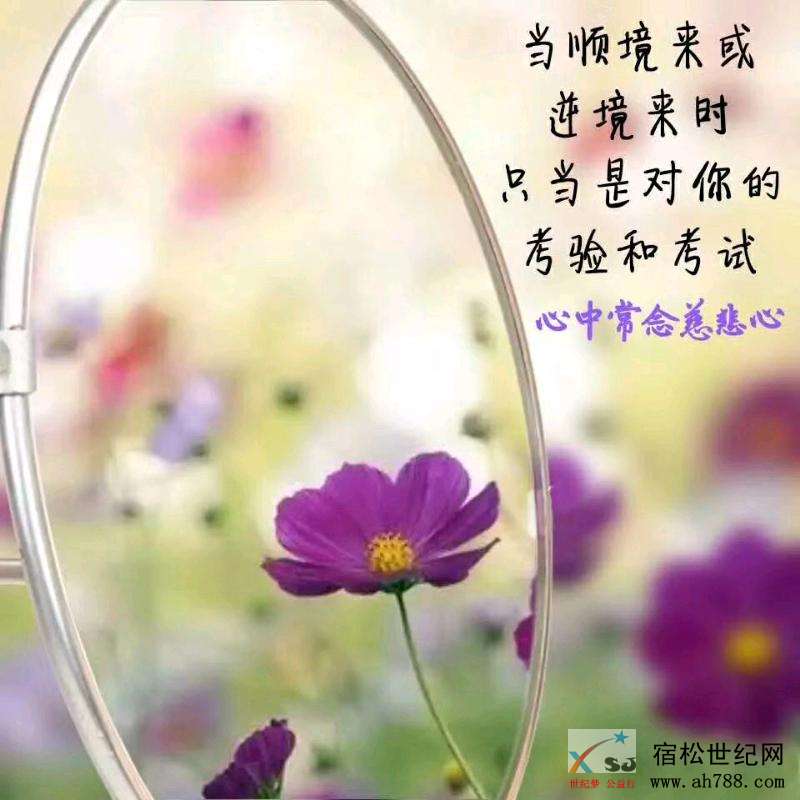 mmexport1540247098430.jpeg
