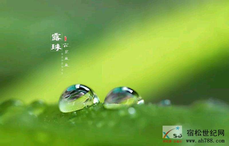 mmexport1540429473086.jpeg