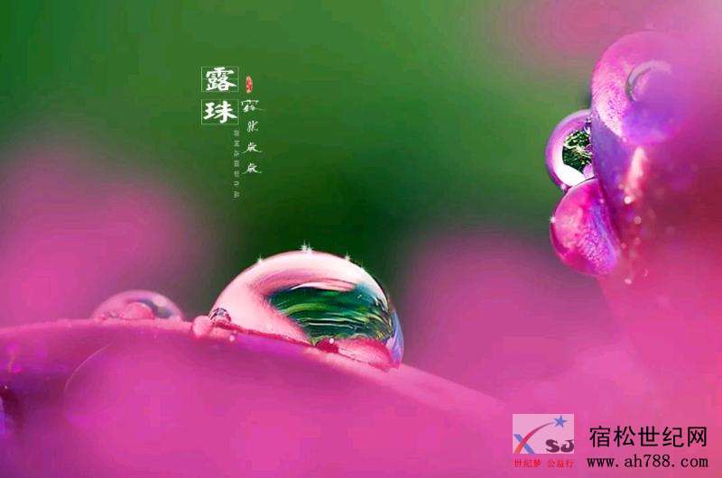 mmexport1540429419925.jpeg