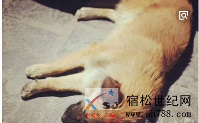 QQ截图20181102113000.png