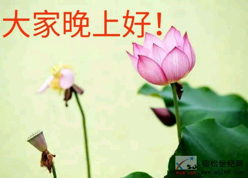 mmexport1540643268675.jpeg