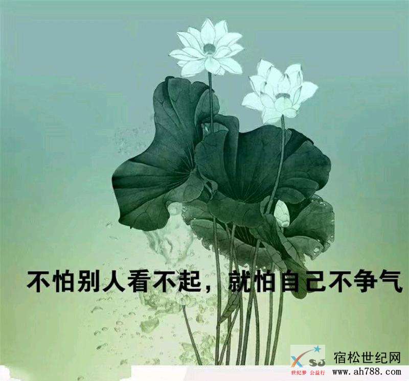 mmexport1541027174978.jpeg