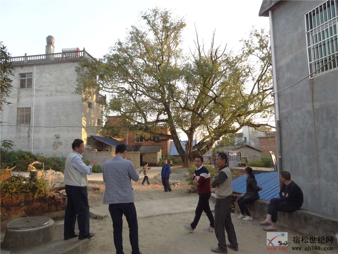 DSC09952_副本.jpg