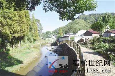 2.webp (1).jpg