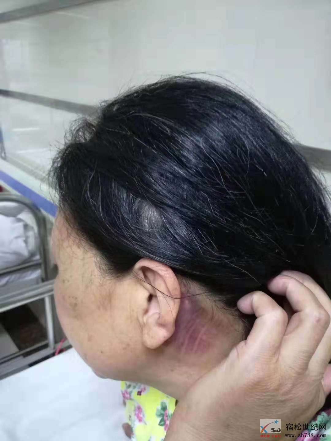 299443090130246188.jpg