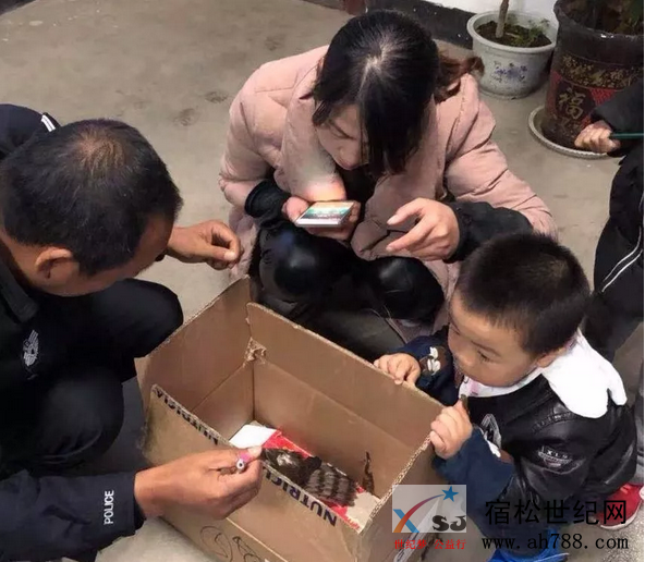 微信截图_20181118092304.png